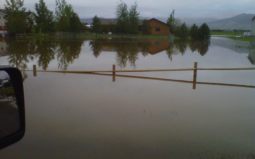 Spring Showers Bring Floods Instead of Flowers