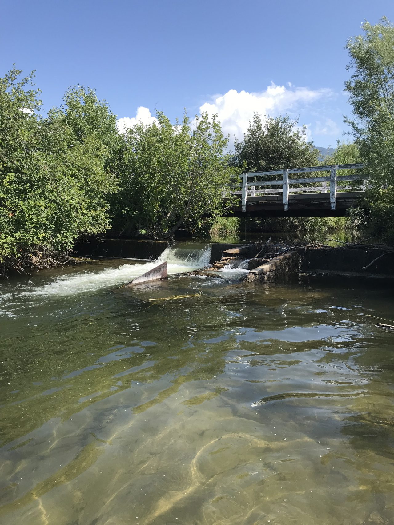 mill-creek-fish-ladder-great-west-engineering